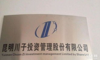 昆明川子投資管理咨詢公司 專業(yè)投資咨詢，賦能企業(yè)成長與財(cái)富增值